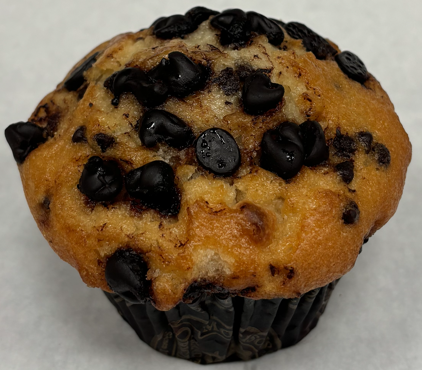 Yogurt Muffin